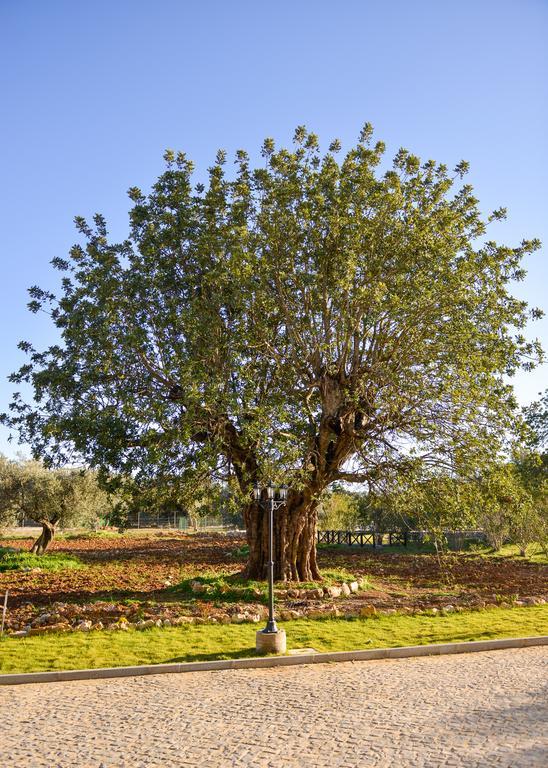 Quinta dos Tesouros São Brás de Alportel Exterior foto