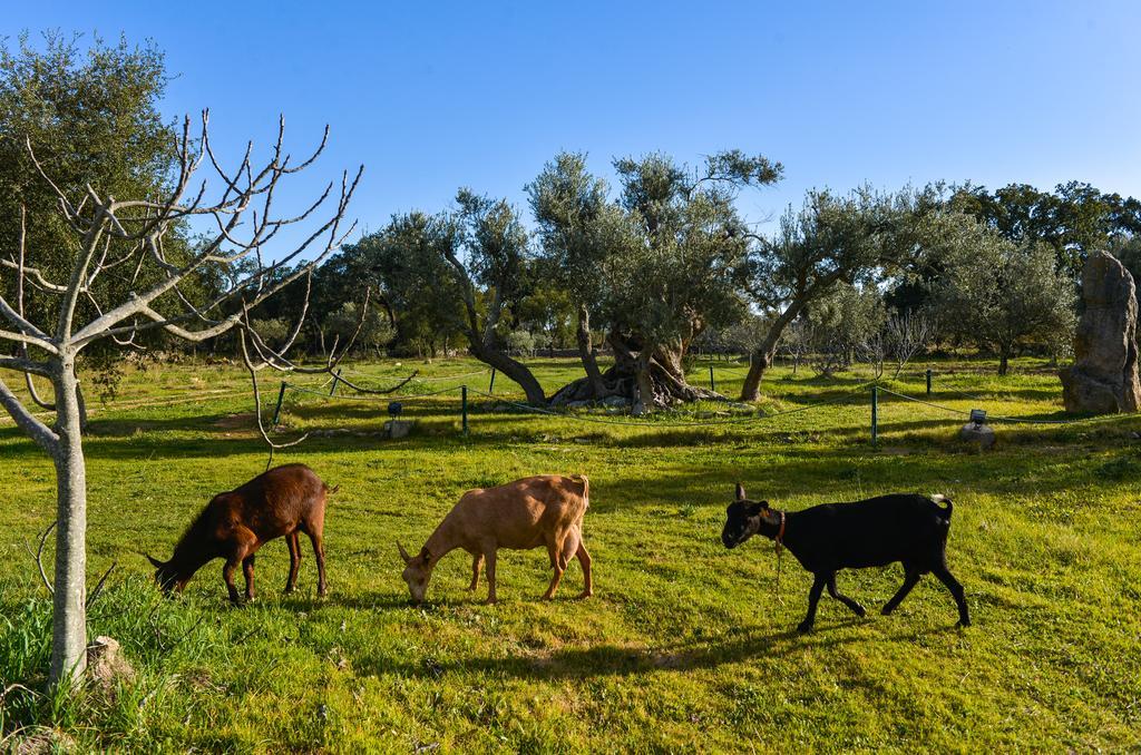 Quinta dos Tesouros São Brás de Alportel Exterior foto